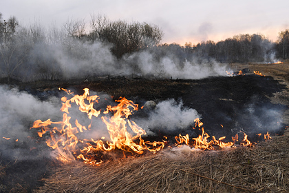 В российском регионе пожар от загоревшейся сухой травы перешел на строения