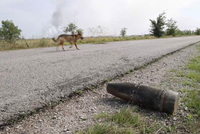 Минобороны раскрыло ущерб из-за диверсии на складе боеприпасов в Крыму 