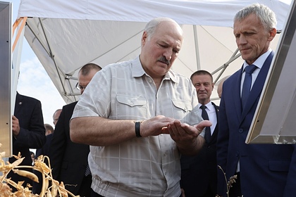 Лукашенко посоветовал белорусскому чиновнику взять на службу котов