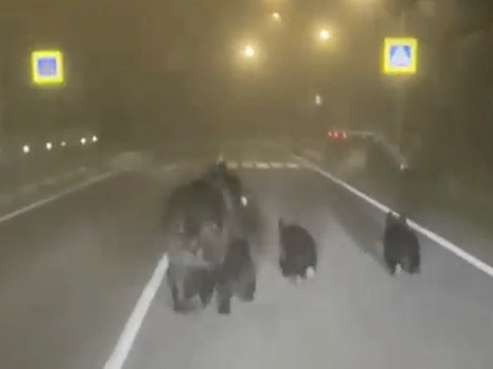 Вводная картинка