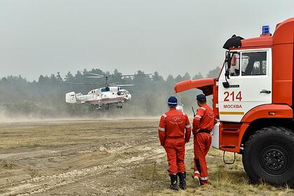 Названа причина лесных пожаров в Рязанской области