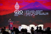Посол рассказал о возможности диалога Путина и Зеленского на G20 