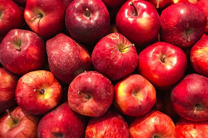 Диетолог раскрыла пользу яблок