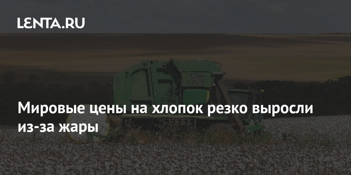 Мировые цены на хлопок резко выросли из-за жары: Госэкономика ...