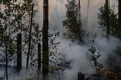 Жителей еще одного поселка в Рязанской области решили эвакуировать из-за пожаров