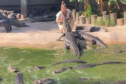 Женщина покормила аллигаторов с рук и попала на видео
