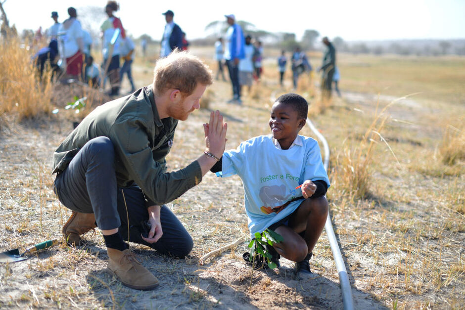 Принц Гарри, герцог Сассекский, помогает школьникам сажать деревья в заповеднике деревьев Чобе в Ботсване, 26 сентября 2019 года