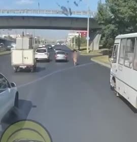 Голая россиянка пробежала по трассе с иконой в руках и попала на видео