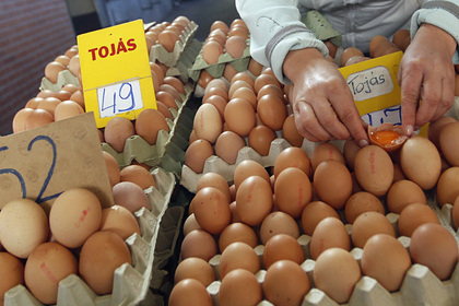 В Венгрии предупредили о скором подорожании яиц