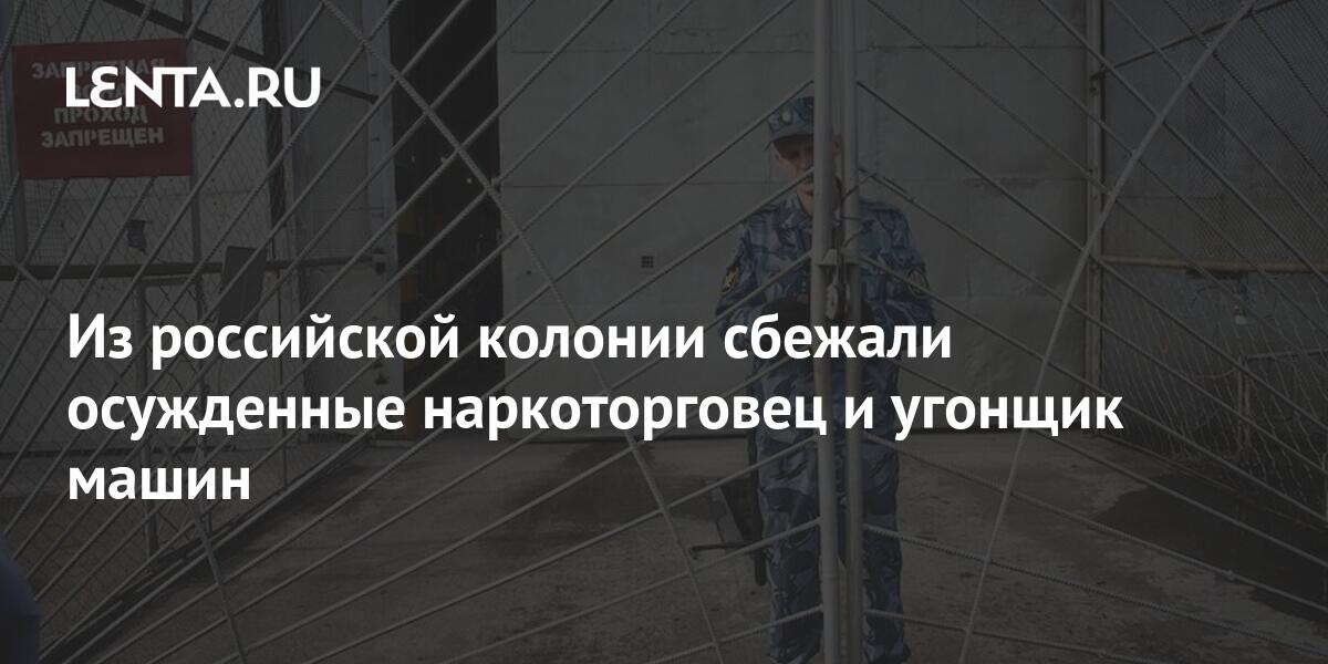 Convicted drug dealer and car thief escaped from Russian colony ...