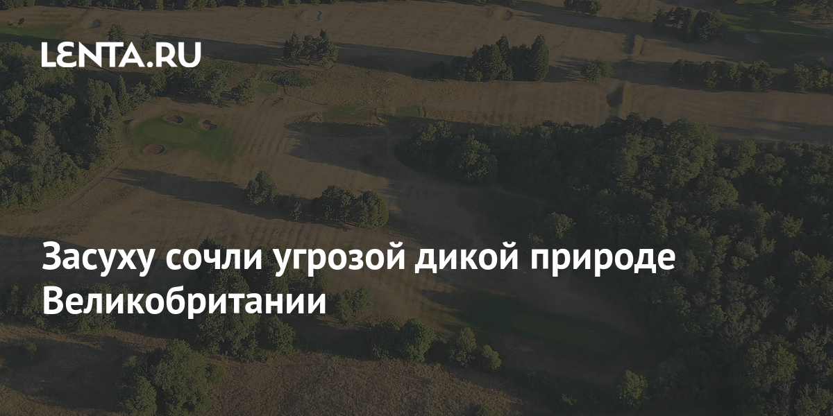 Засуху сочли угрозой дикой природе Великобритании: Климат: Среда ...