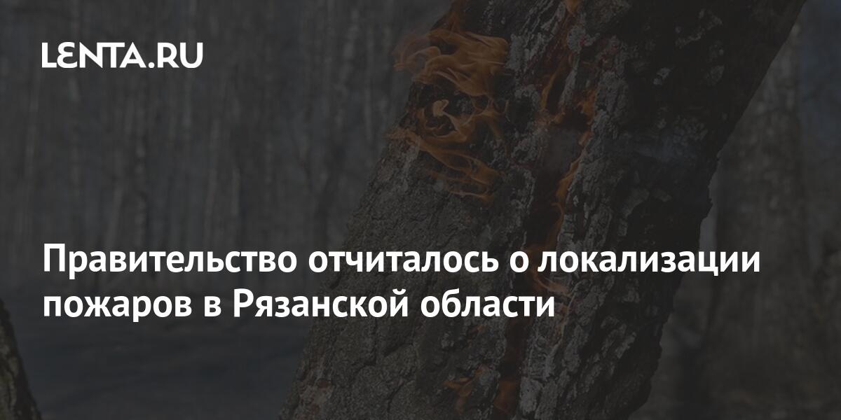 Правительство отчиталось о локализации пожаров в Рязанской области ...