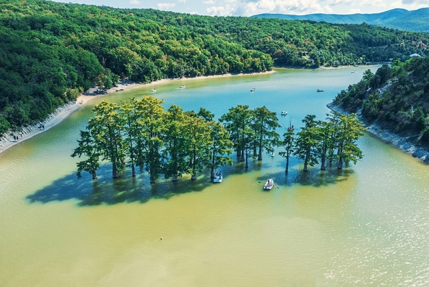 Вводная картинка