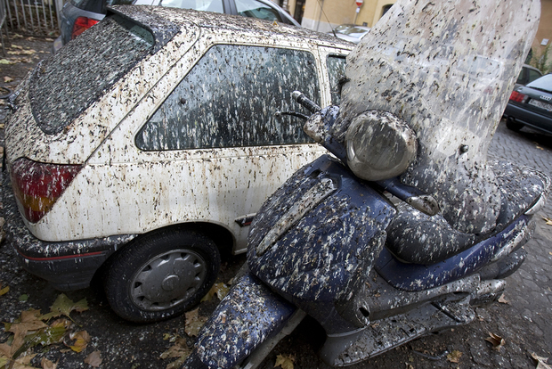 Фото: Chris Helgren / Reuters