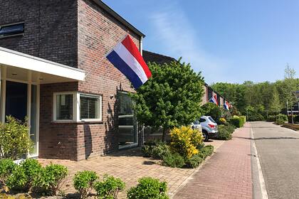 Города Нидерландов попросили временно снять с них антироссийские санкции
