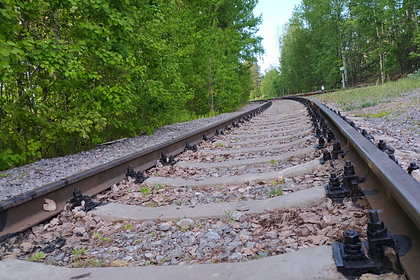 В Финляндии списали курсировавшие между Хельсинки и Петербургом поезда