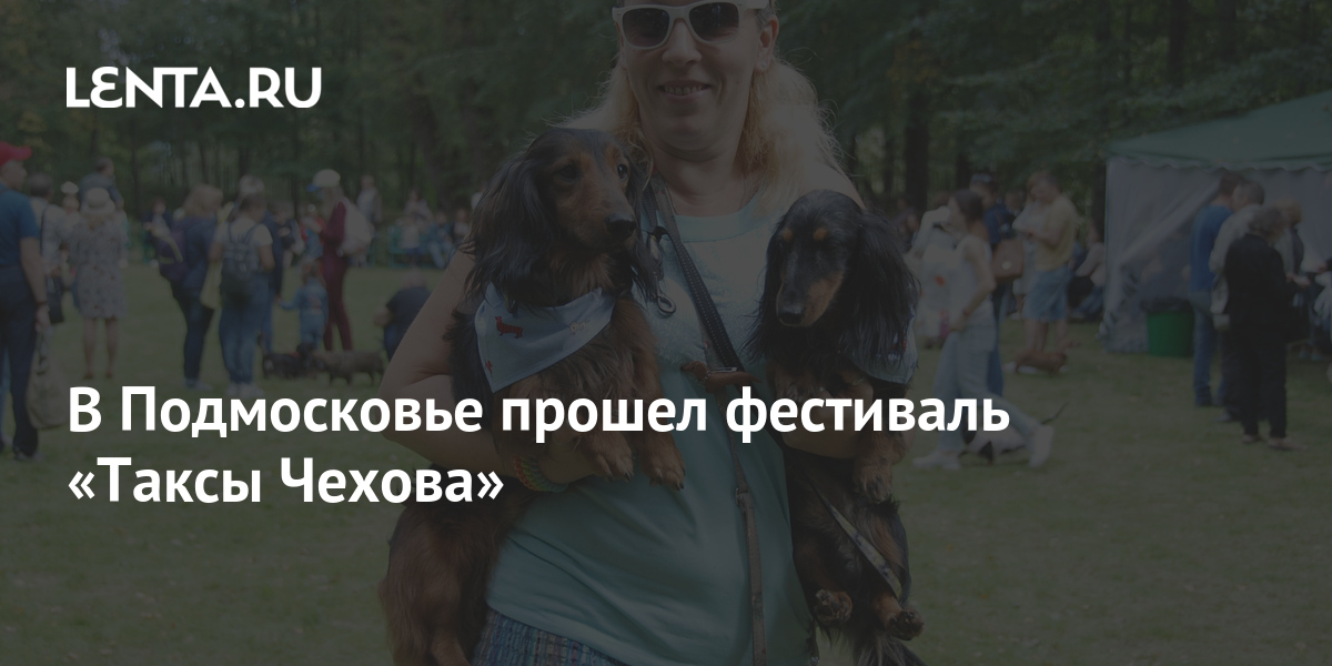 Таксы чехова фото