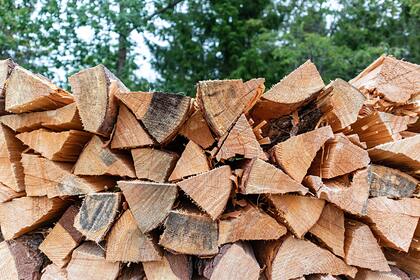 Жителям Молдавии разрешили покупать больше дров из-за роста цен на газ