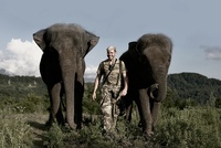 «Ощущение, что ты в джунглях» Как российская семья выпустила цирковых слонов на свободу в окрестностях Сочи