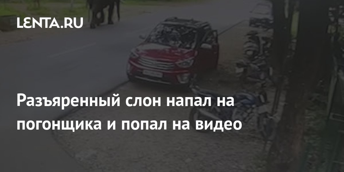 Погонщику трудно без плана