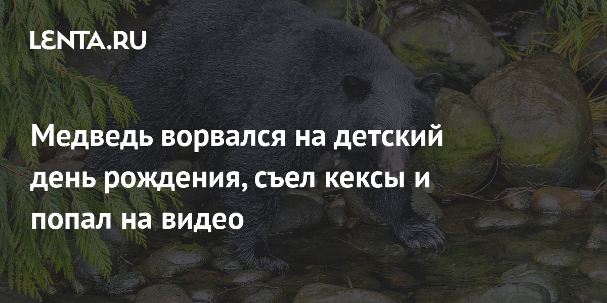 На диаграмме показано сколько плюшек съедал карлсон в каждый день недели