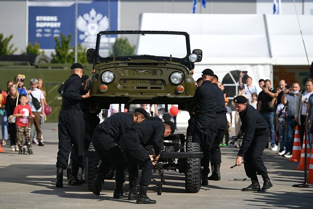 Вводная картинка
