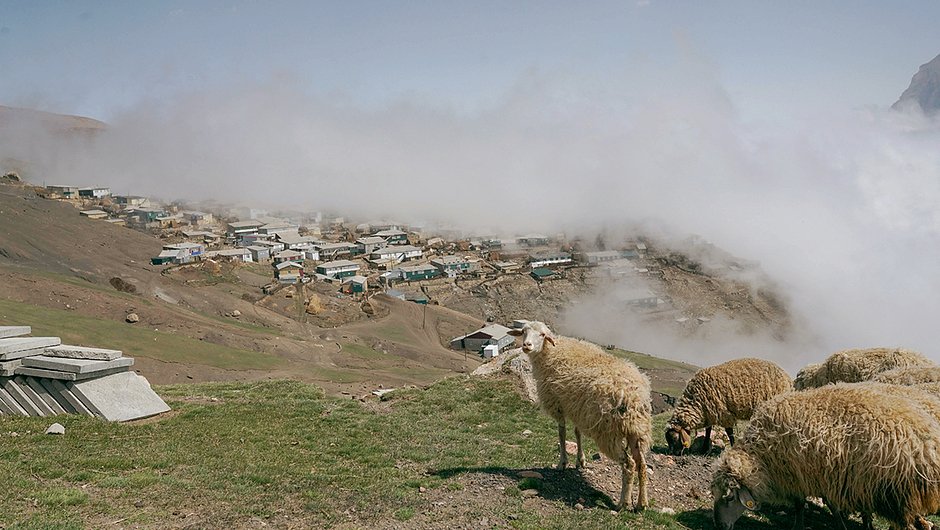 В Куруше овцы могут пастись на каждом шагу — село расположено на холмах, которые покрыты обильной зеленью