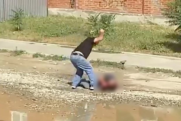 Вводная картинка
