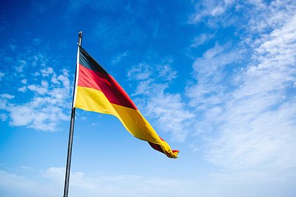 В Австрии заявили о «национальном самоубийстве» Германии