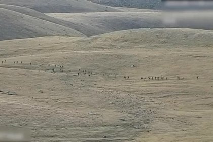 Оперативная группа ОДКБ прибыла в Армению