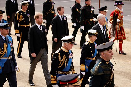 Объяснено отсутствие военной формы у принцев Гарри и Эндрю на похоронах королевы