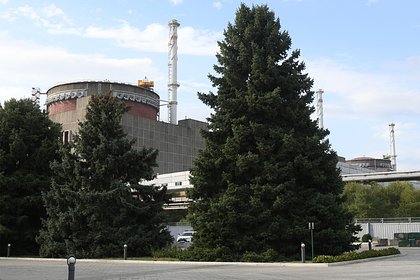 В Запорожской области захотели запустить один из энергоблоков ЗАЭС к зиме