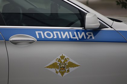 Убегавшего от наряда полиции россиянина осудили за пинок правоохранителю