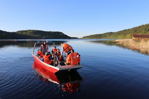 Вводная картинка