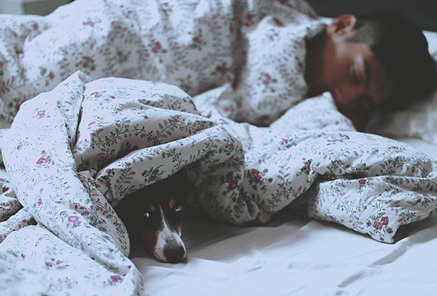 Вопрос на засыпку: почему сон организму — только на руку | Статьи | Известия