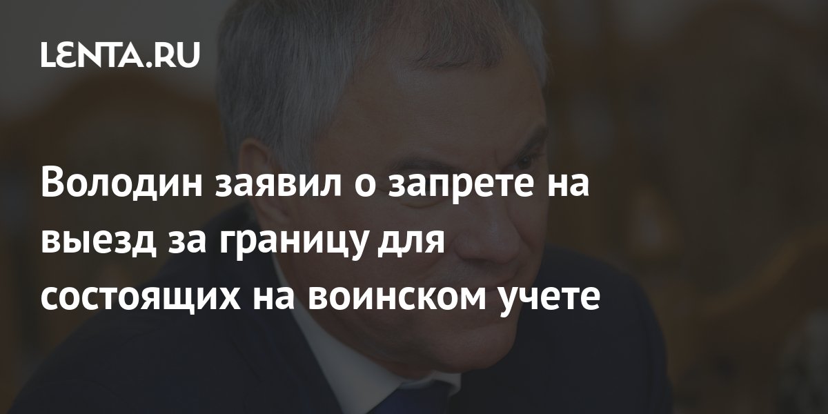 Володин заявил о запрете на выезд за границу для состоящих на воинском ...