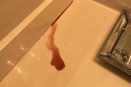 Женщина разгадала тайну кровоточащей стены в ванной