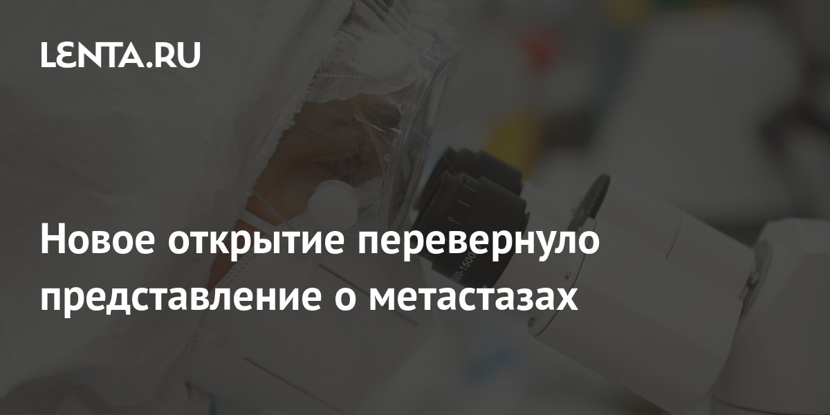 lenta.ru