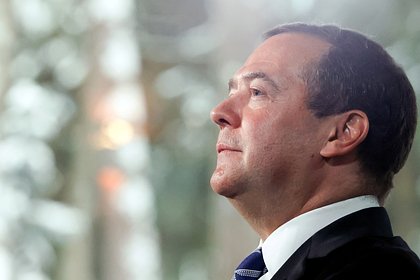 Медведев в пяти словах отреагировал на договоры о новых территориях России