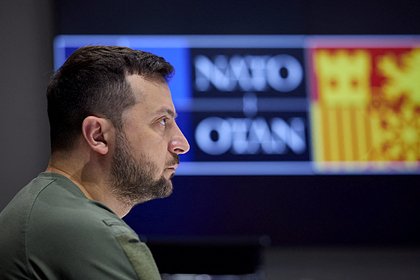 Намерение Зеленского скорее вступить в НАТО раскритиковали в сети