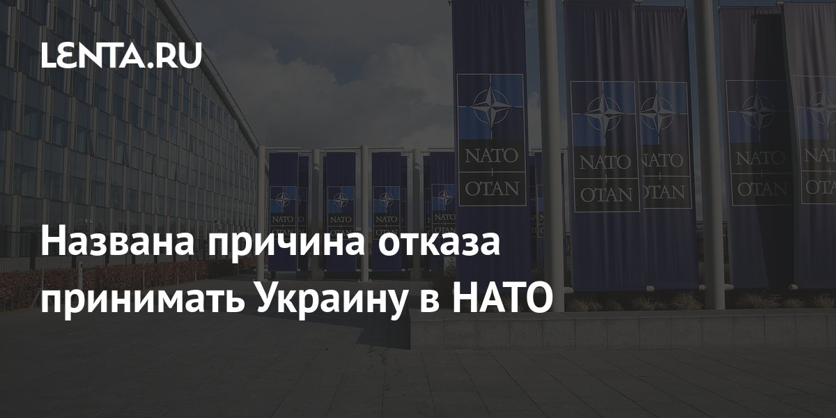 Названа причина отказа принимать Украину в НАТО: Политика: Мир: Lenta.ru