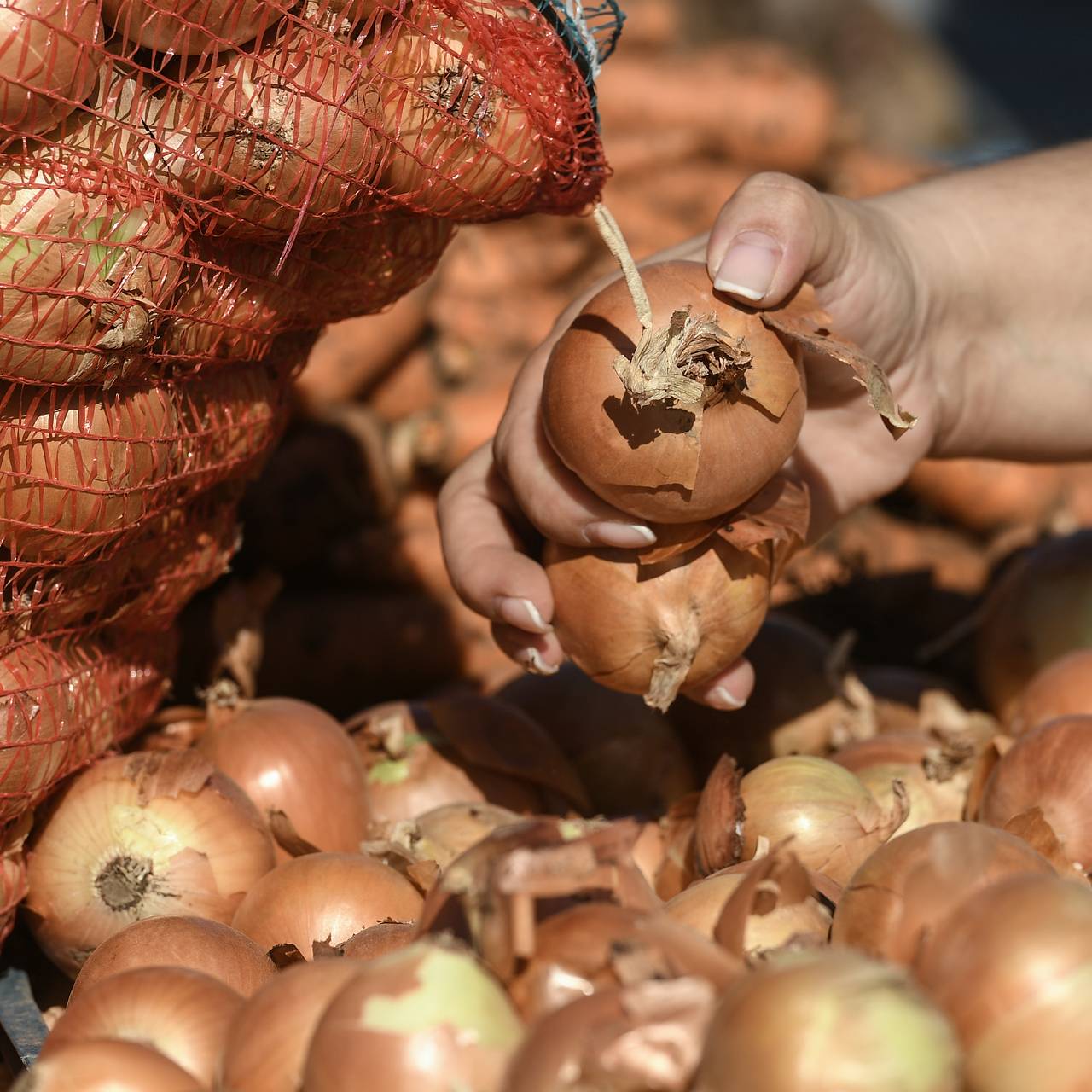 Назван самый доступный для снижения сахара в крови продукт: Питание и сон:  Забота о себе: Lenta.ru