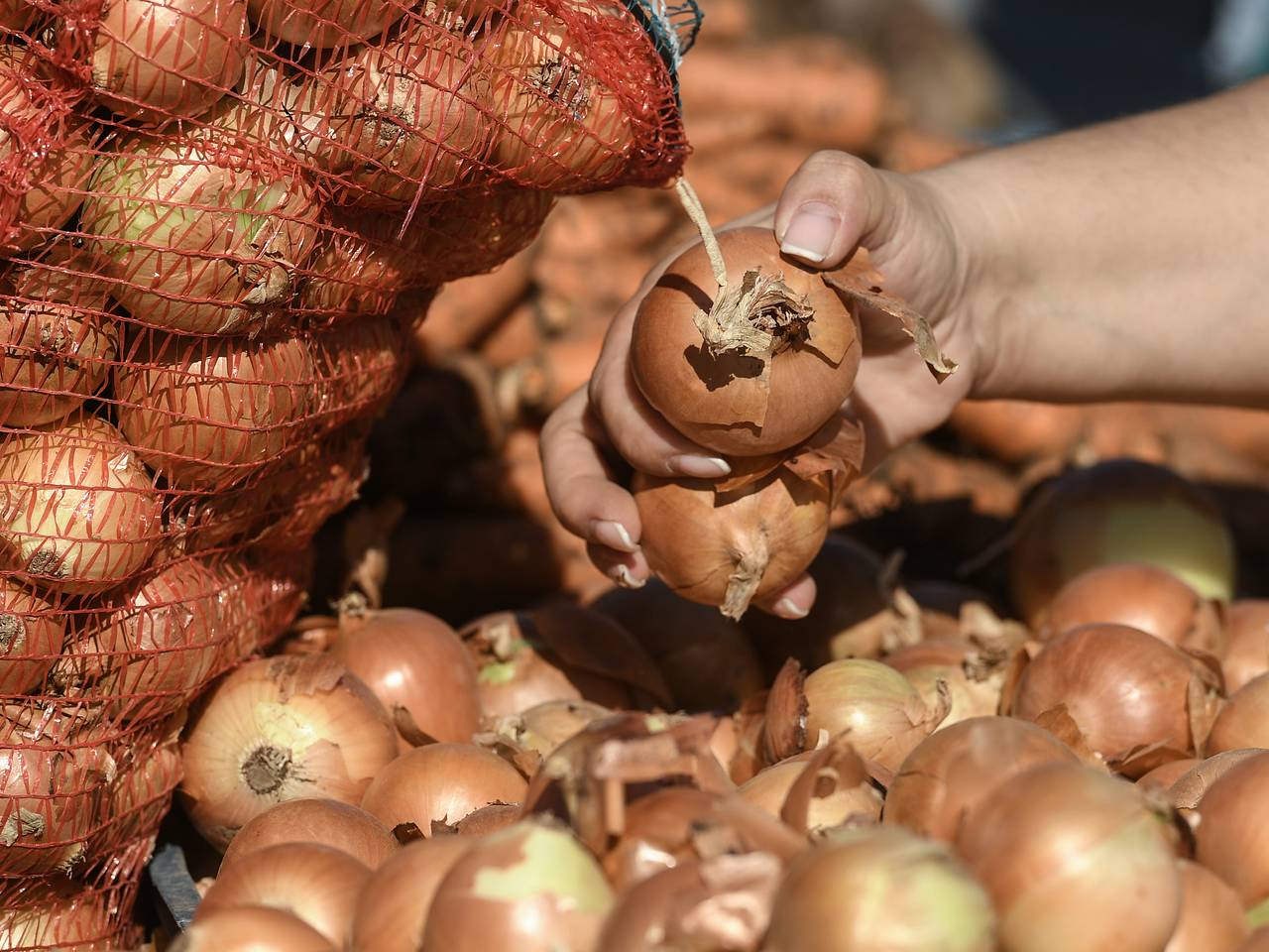 Назван самый доступный для снижения сахара в крови продукт: Питание и сон:  Забота о себе: Lenta.ru