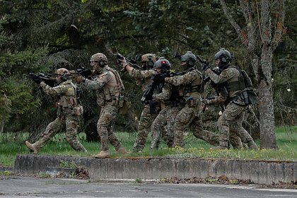 Литва и НАТО проведут военные учения около Куршской косы