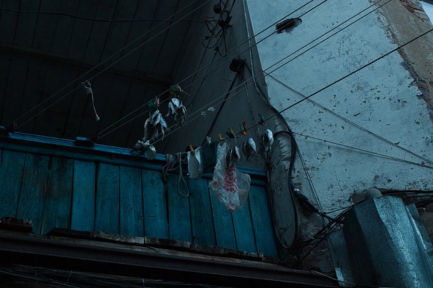 Так сушат воблу в Астрахани. Фото: Дмитрий Ермаков / «Лента.ру»