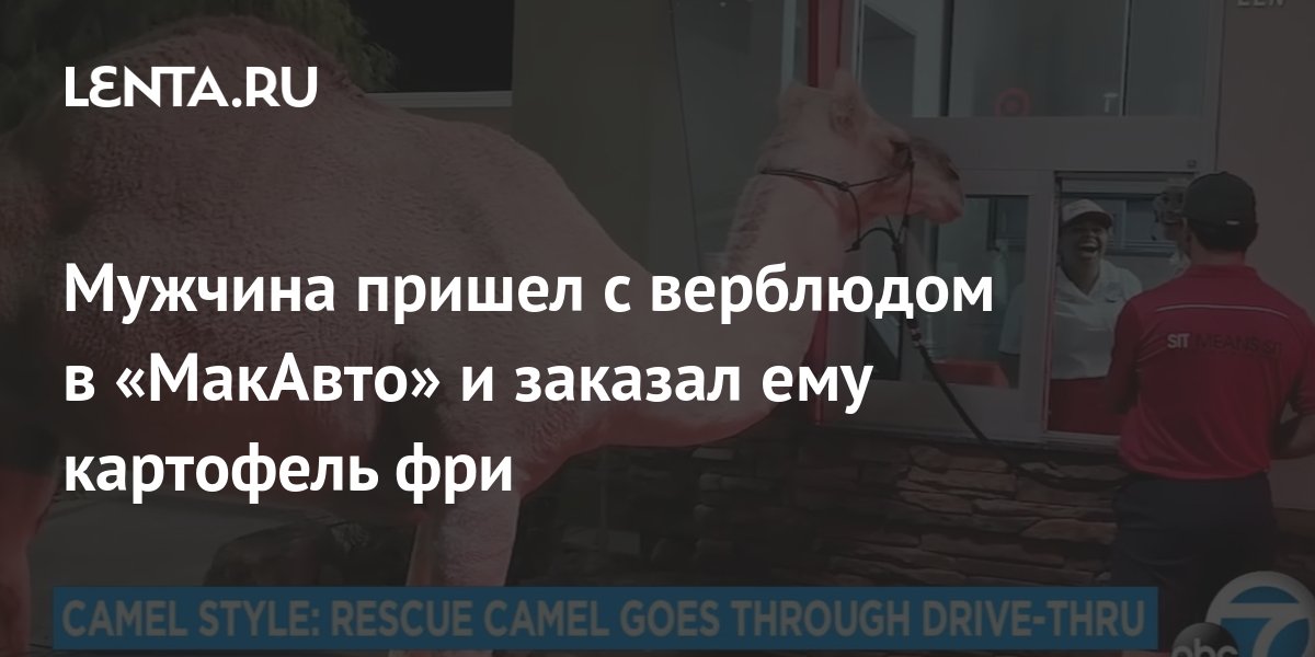 Мужчина пришел с верблюдом в «МакАвто» и заказал ему картофель фри ...