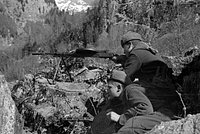 «Не осталось ни одного живого немца» Как Красная армия победила армию Гитлера в битве за Кавказ