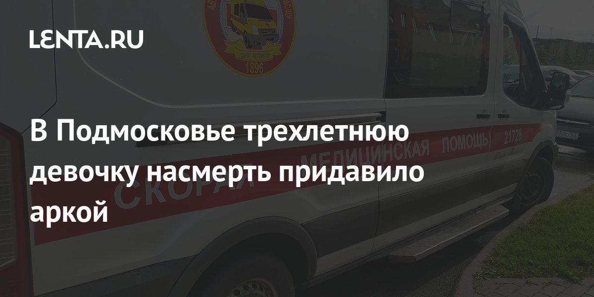 В Подмосковье трехлетнюю девочку насмерть придавило аркой: Общество ...