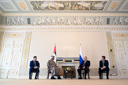 В Санкт-Петербурге началась встреча Путина с президентом ОАЭ