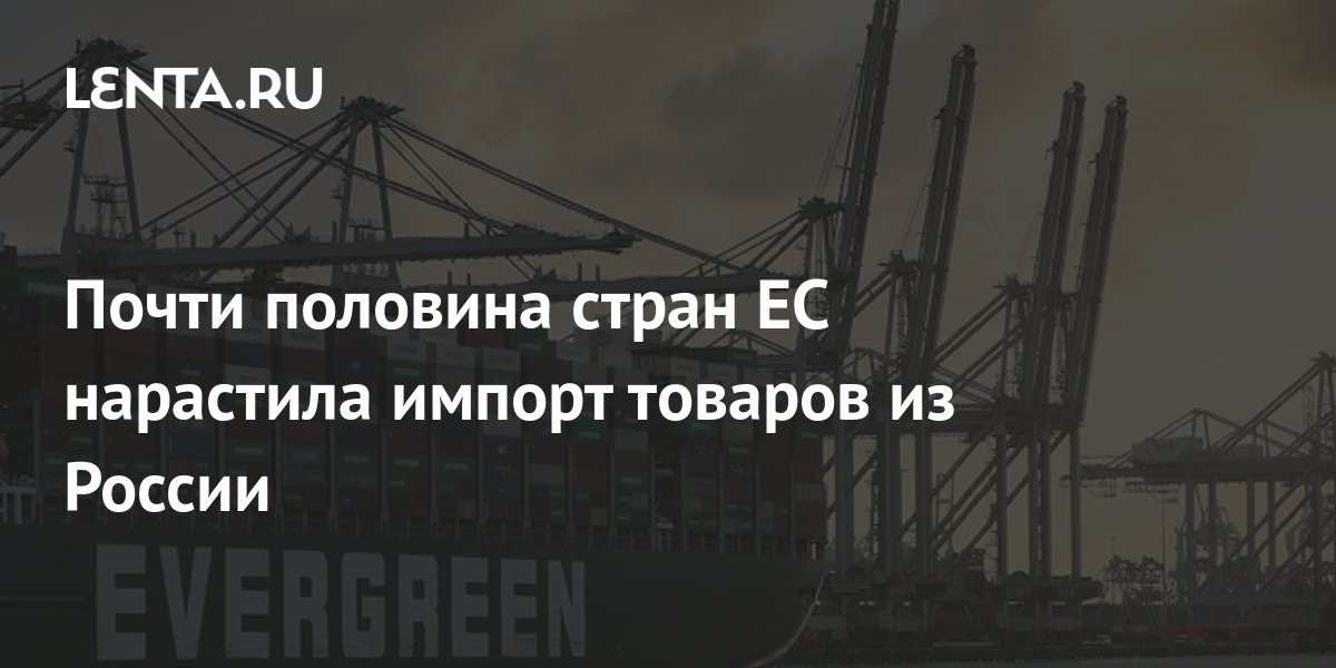 Почти половина стран ЕС нарастила импорт товаров из России ...